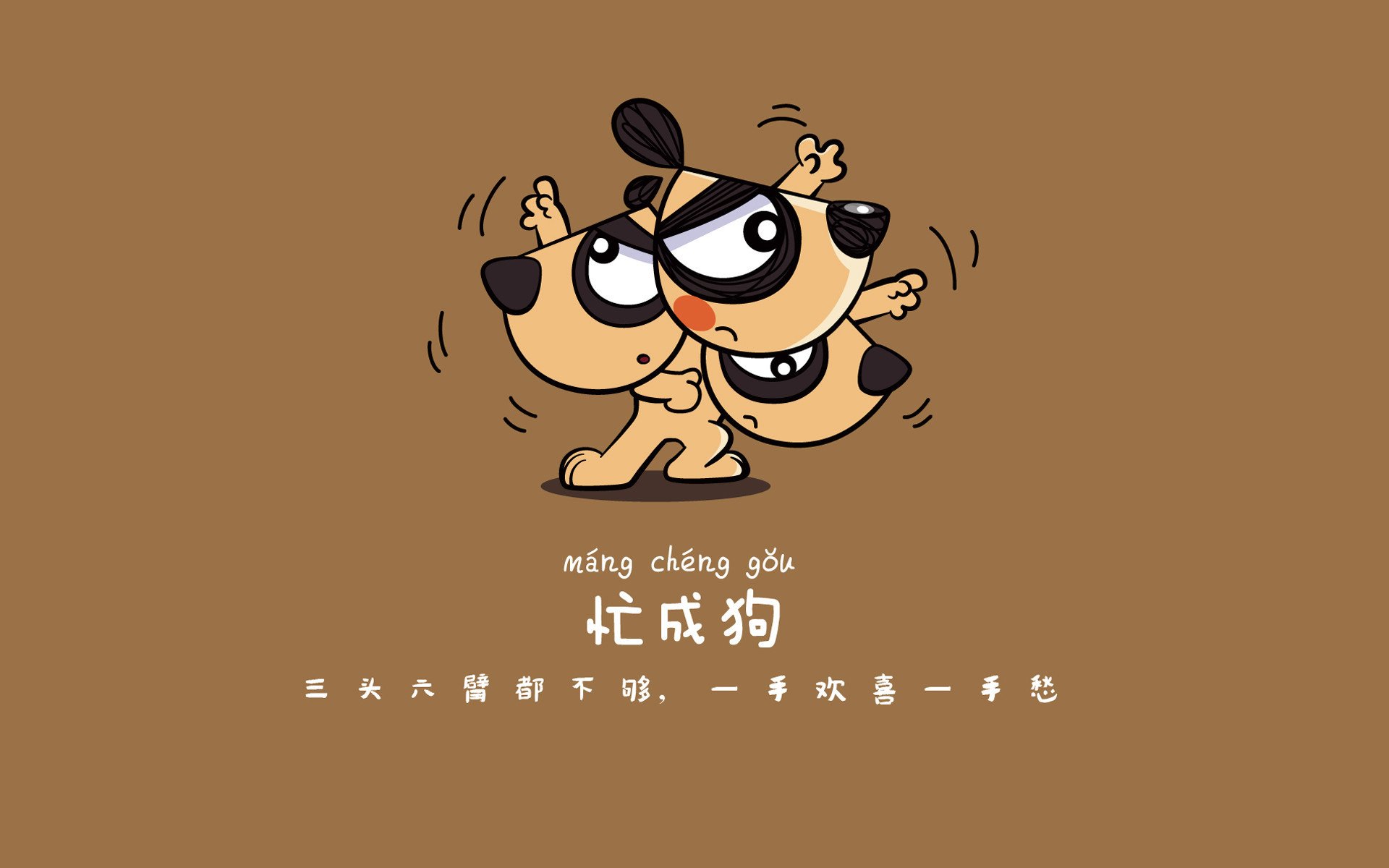 Kaiyun(中国)开云-年龄差距引发关注：老将年轻新秀的对决，年轻与年龄无关