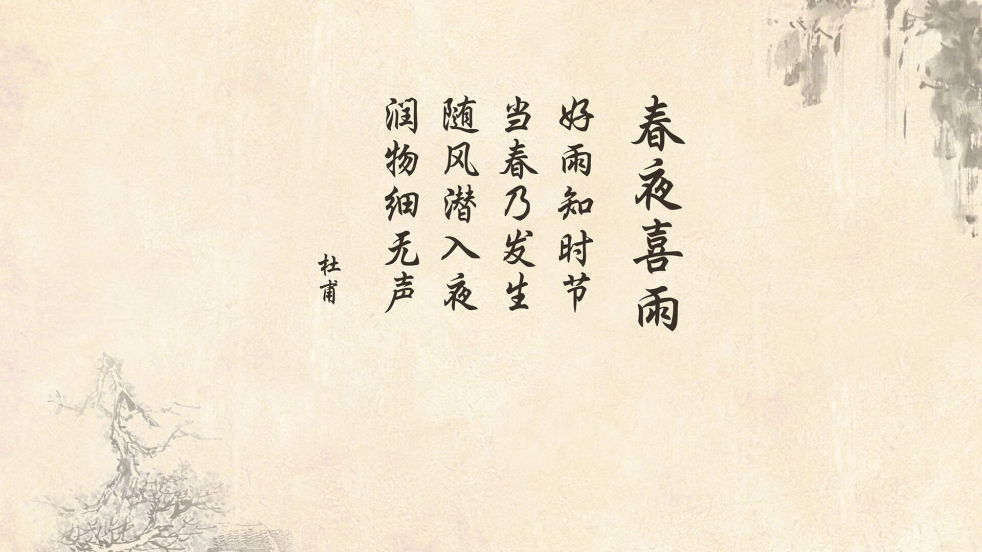 西甲关键场面，专家解析战术要点，vll西甲