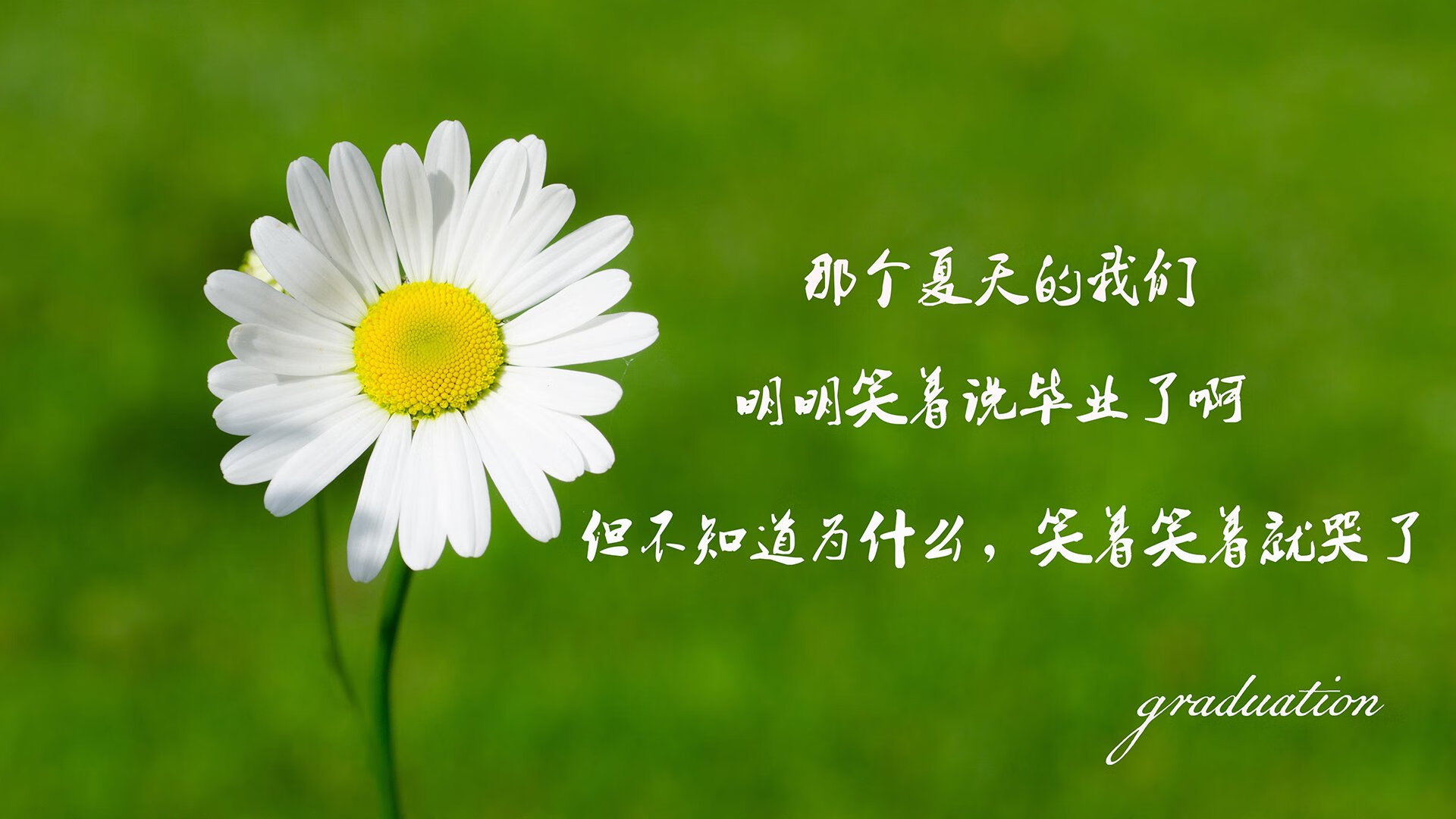 开云官网-斯特拉斯堡连续第四场比赛获胜，迎来良好状态，斯特拉斯堡视频