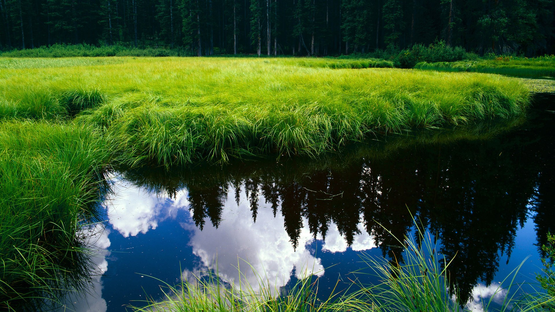青少年运动技能挑战榜上线受热烈欢迎，中国青少年运动技能大赛