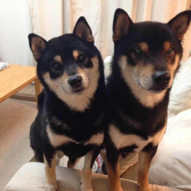 欧洲杯决胜轮:战术调整带来意想不到的最终胜利,欧洲杯决赛胜负预测