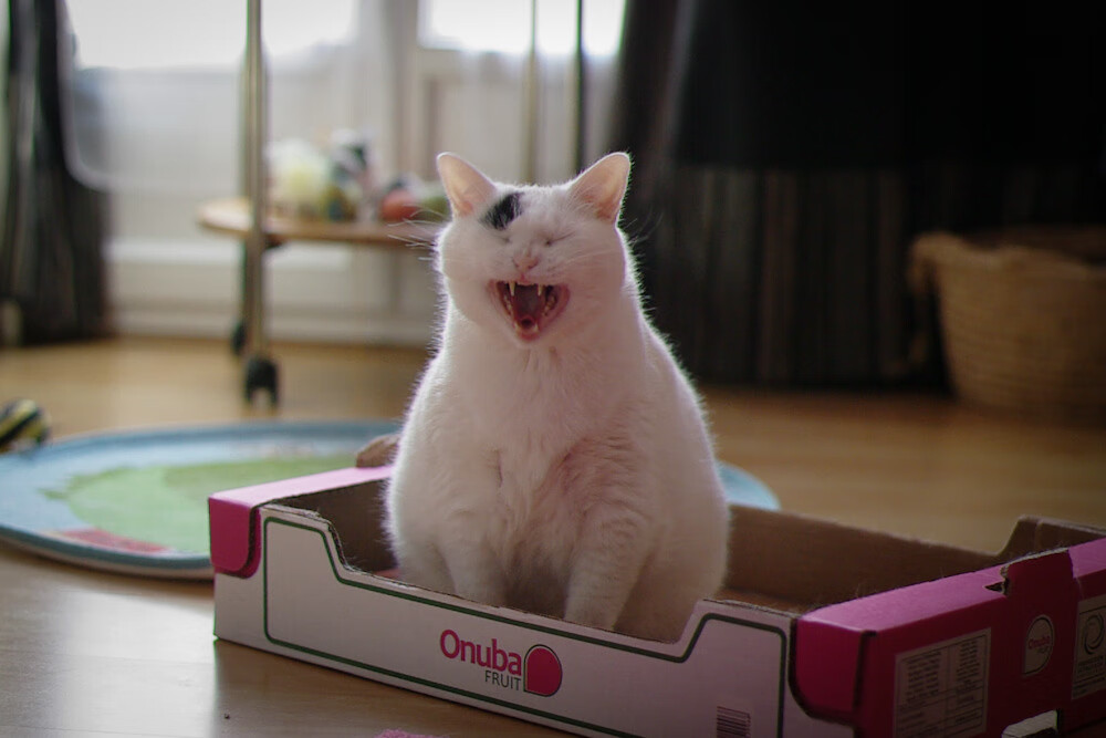 kaiyun登录入口-艾比·德尔福：以强硬防守和精准传球稳固南非队后场，艾比利德尔