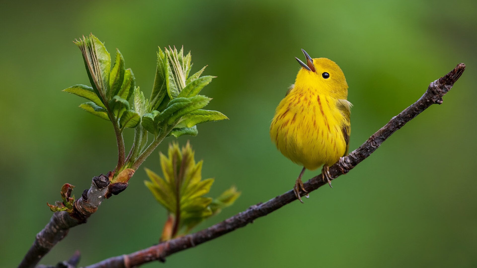 kaiyun官方网站-覃海洋冲刺阶段技术亮点频现，覃海洋 哪里人